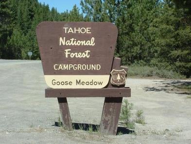 Camper submitted image from Goose Meadows - 3