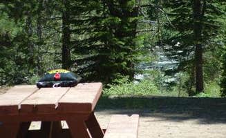 The Dyrt's photo at Goose Meadows near Martis Creek Lake