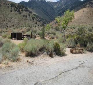 Camper-submitted photo from Inyo County Diaz Lake Campground