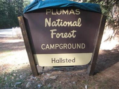 Camper submitted image from Plumas National Forest Hallsted Campground - 1