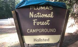 Camping near Lake Cove Resort & Marina: Plumas National Forest Hallsted Campground, Twain, California