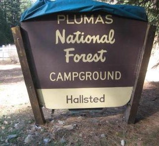 Camper-submitted photo from Plumas National Forest Hallsted Campground