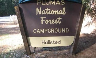 Camping near Silver Lake Campground: Plumas National Forest Hallsted Campground, Twain, California