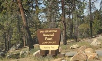 Camping near Green Valley: Hanna Flat Campground, Fawnskin, California