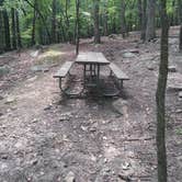 Review photo of Pilot Mountain State Park Campground — Pilot Mountain State Park by Andrew S., September 11, 2016