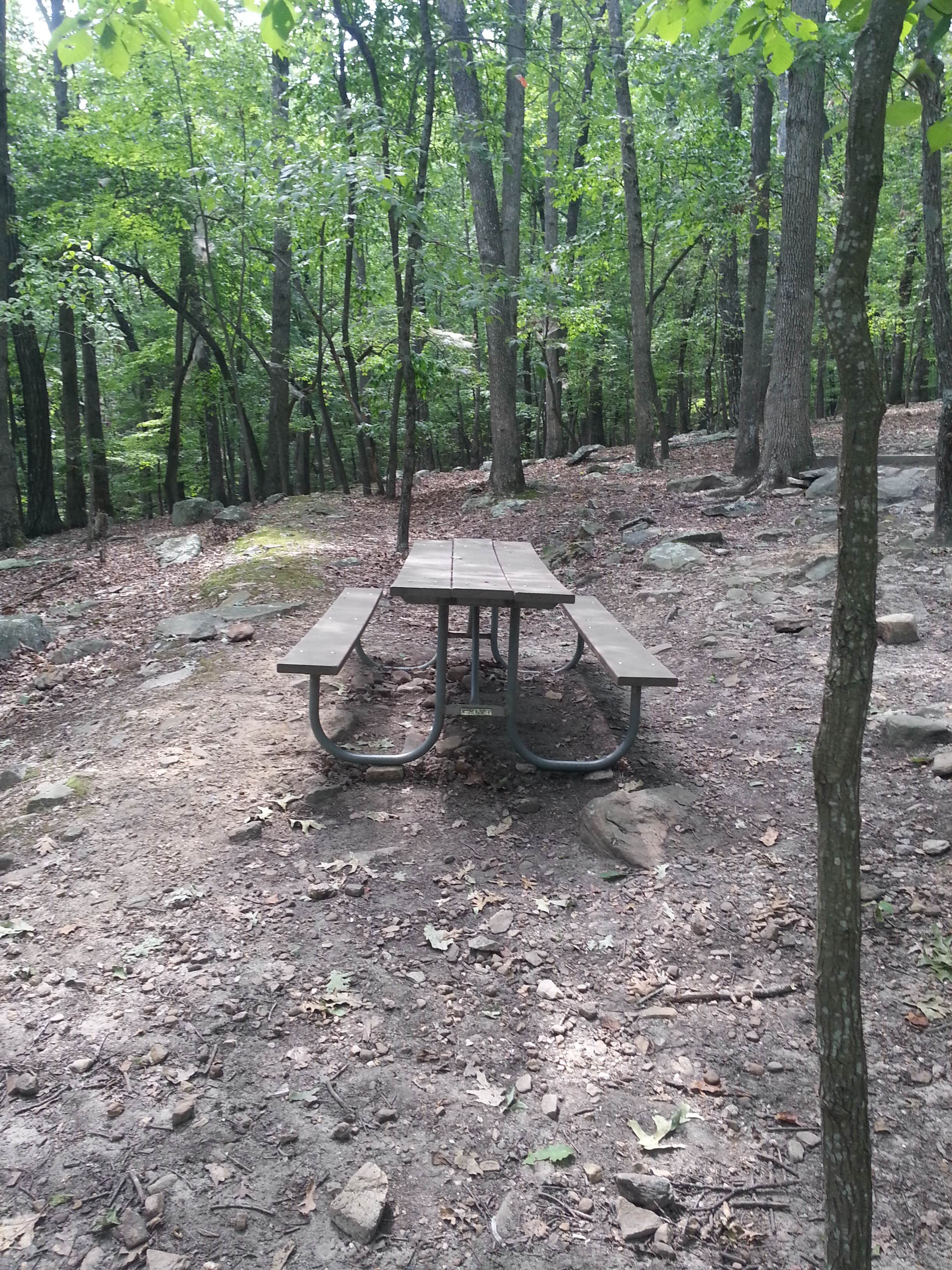 Camper submitted image from Pilot Mountain State Park Campground - 3