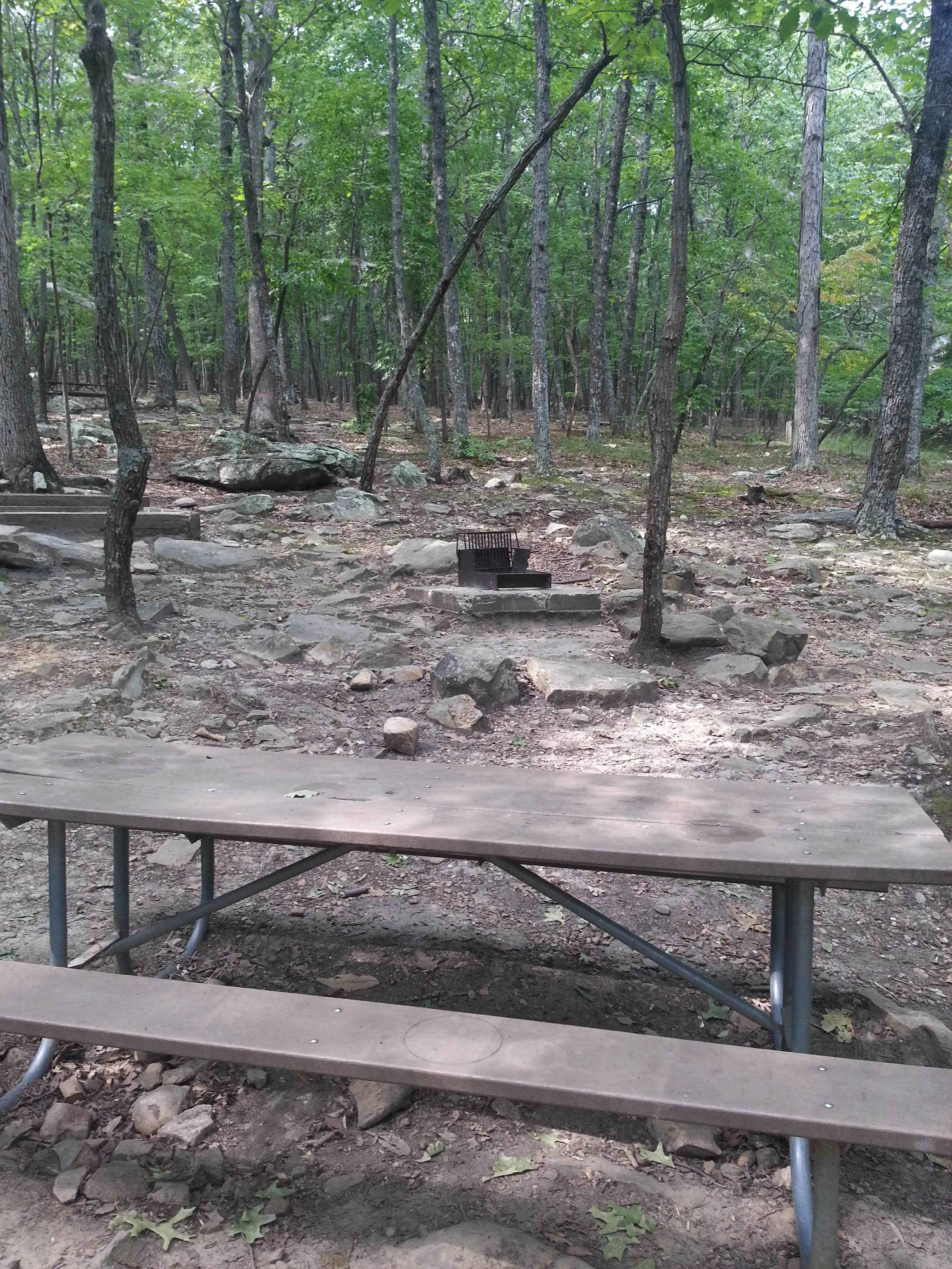 Camper-submitted photo at Pilot Mountain State Park Campground near Eden, NC