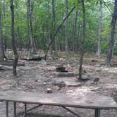 Review photo of Pilot Mountain State Park Campground — Pilot Mountain State Park by Andrew S., September 11, 2016
