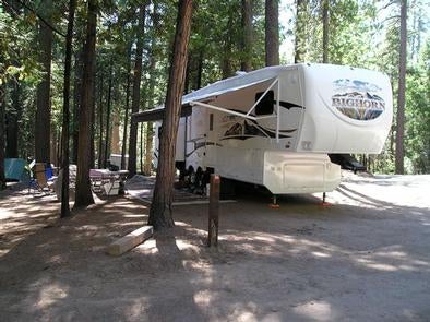 Camper submitted image from Hodgdon Meadow Campground — Yosemite National Park - 4