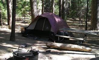 The Dyrt's photo at Hodgdon Meadow Campground — Yosemite National Park near Eastman Lake