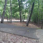 Review photo of Pilot Mountain State Park Campground — Pilot Mountain State Park by Andrew S., September 11, 2016