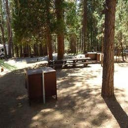 Public Campgrounds: Sequoia National Forest Hume Lake Campground