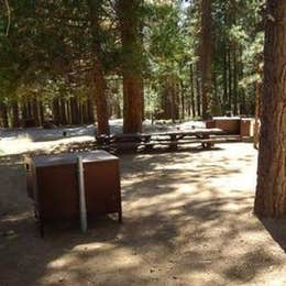 Public Campgrounds: Sequoia National Forest Hume Lake Campground