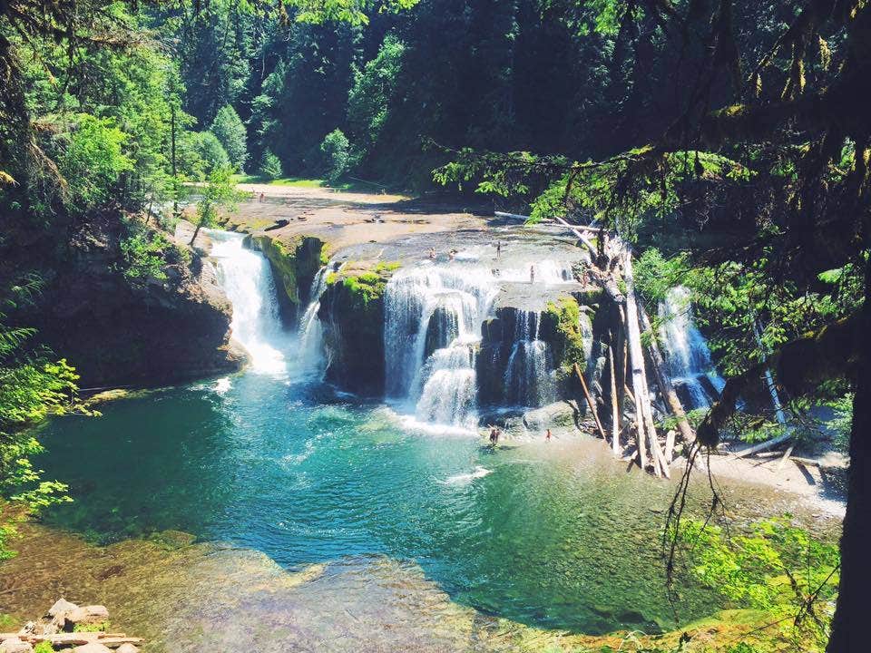 Camper submitted image from Lewis River Horse Camp - 3