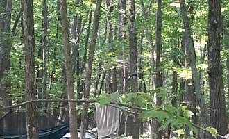 Camping near Black Dog Acres RV Park: Pilot Mountain State Park Campground — Pilot Mountain State Park, Pinnacle, North Carolina
