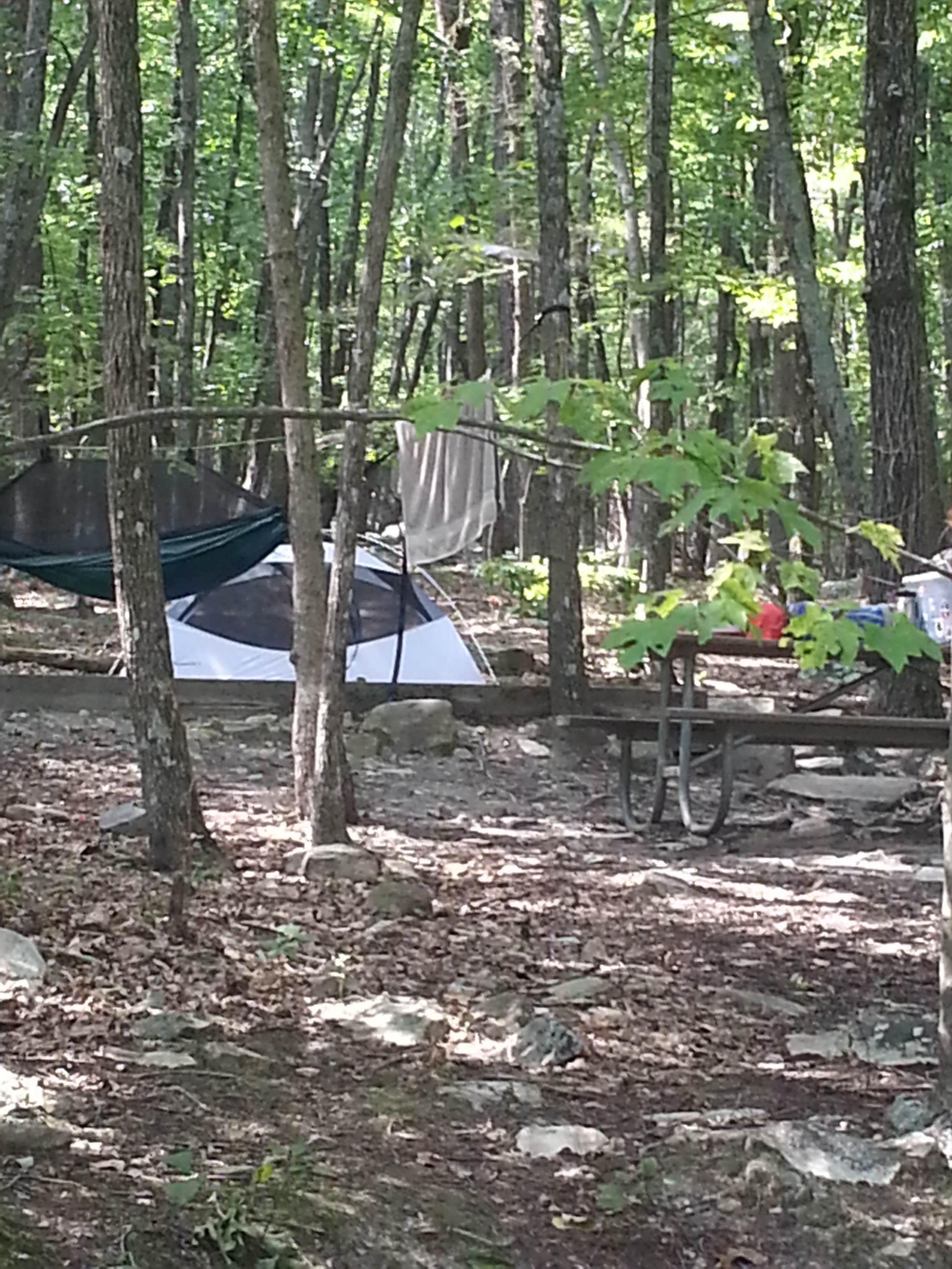 Camper submitted image from Pilot Mountain State Park Campground — Pilot Mountain State Park - 1