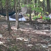 Review photo of Pilot Mountain State Park Campground — Pilot Mountain State Park by Andrew S., September 11, 2016