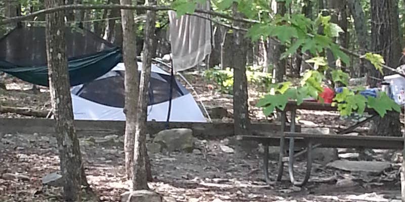 Camper submitted image from Pilot Mountain State Park Campground