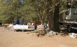 The Dyrt's photo at Indian Valley near Alleghany, CA