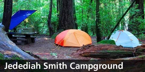 Camper-submitted photo at Jedidiah Smith Campground — Redwood National Park near Klamath, CA
