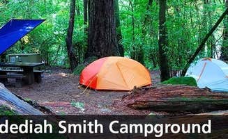 The Dyrt's photo at Jedediah Smith Redwoods State Park Campground near Fort Dick, CA