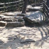 Review photo of Pilot Mountain State Park Campground — Pilot Mountain State Park by Andrew S., September 11, 2016