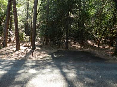 Camping near Bigfoot Campground & RV Park: Junction City Campground, Junction City, California