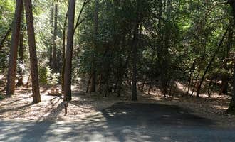 Camping near Del Loma RV Park and Campground: Junction City Campground, Junction City, California