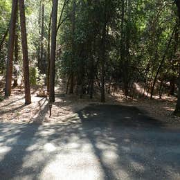 Junction City Campground