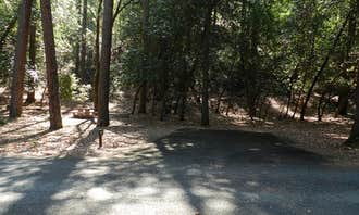 Camping near Ripstein Campground: Junction City Campground, Junction City, California
