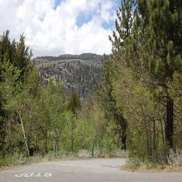 Public Campgrounds: June Lake Campground
