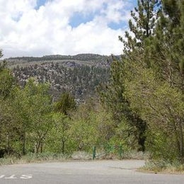 Public Campgrounds: June Lake Campground