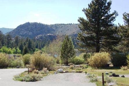 Camper submitted image from June Lake Campground - 1