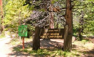 Camping near Summerdale Campground: Kelty Meadow, Fish Camp, California