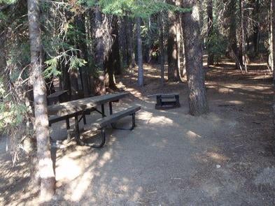 Camper submitted image from Kinnikinnick - Sierra NF - 5