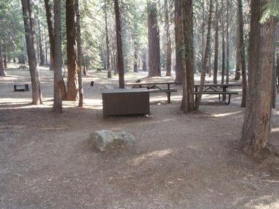 Camper submitted image from Kinnikinnick - Sierra NF - 2