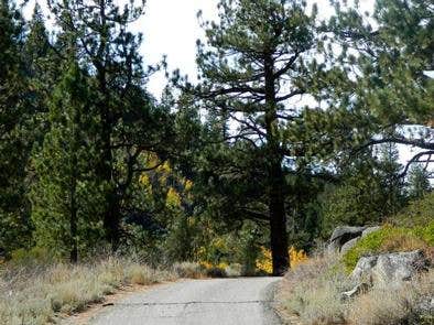 Camper submitted image from Kit Carson Campground - 2