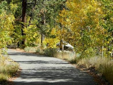 Camper submitted image from Kit Carson Campground - 4