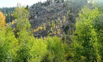 Camping near Washoe Tribe Campground: Kit Carson Campground, Markleeville, California