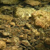 Review photo of Trout Creek by Chad  L., March 29, 2016