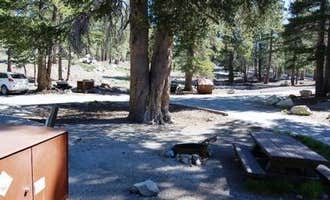 Camping near Sherwin Creek: Lake Mary Campground, Mammoth Lakes, California