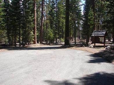 Camper submitted image from Lost Creek Campground — Lassen Volcanic National Park - 2