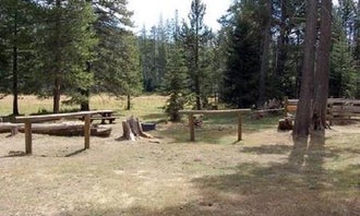 Camping near Cold Creek: Little Lasier Meadows Campground, Sierra City, California