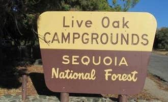 Camping near Tillie Creek: Live Oak South, Wofford Heights, California