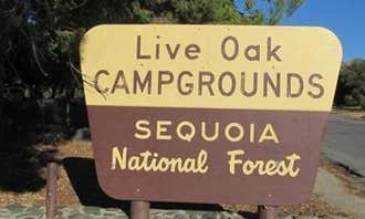 Camping near Boulder Gulch: Live Oak South, Wofford Heights, California