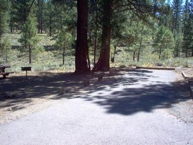 Camper submitted image from Logger Campground - 4
