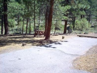 Camper submitted image from Logger Campground - 1