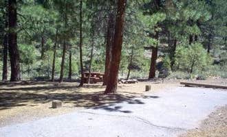 Camping near Sardine Peak Lookout: Logger Campground, Floriston, California