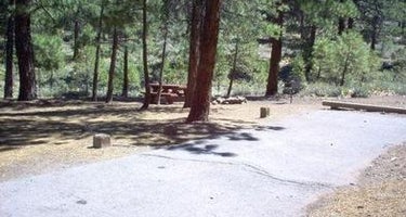 Logger Campground