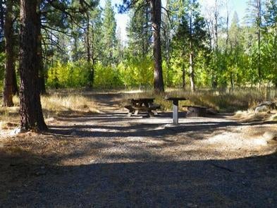 Camper submitted image from Lookout Campground - 1